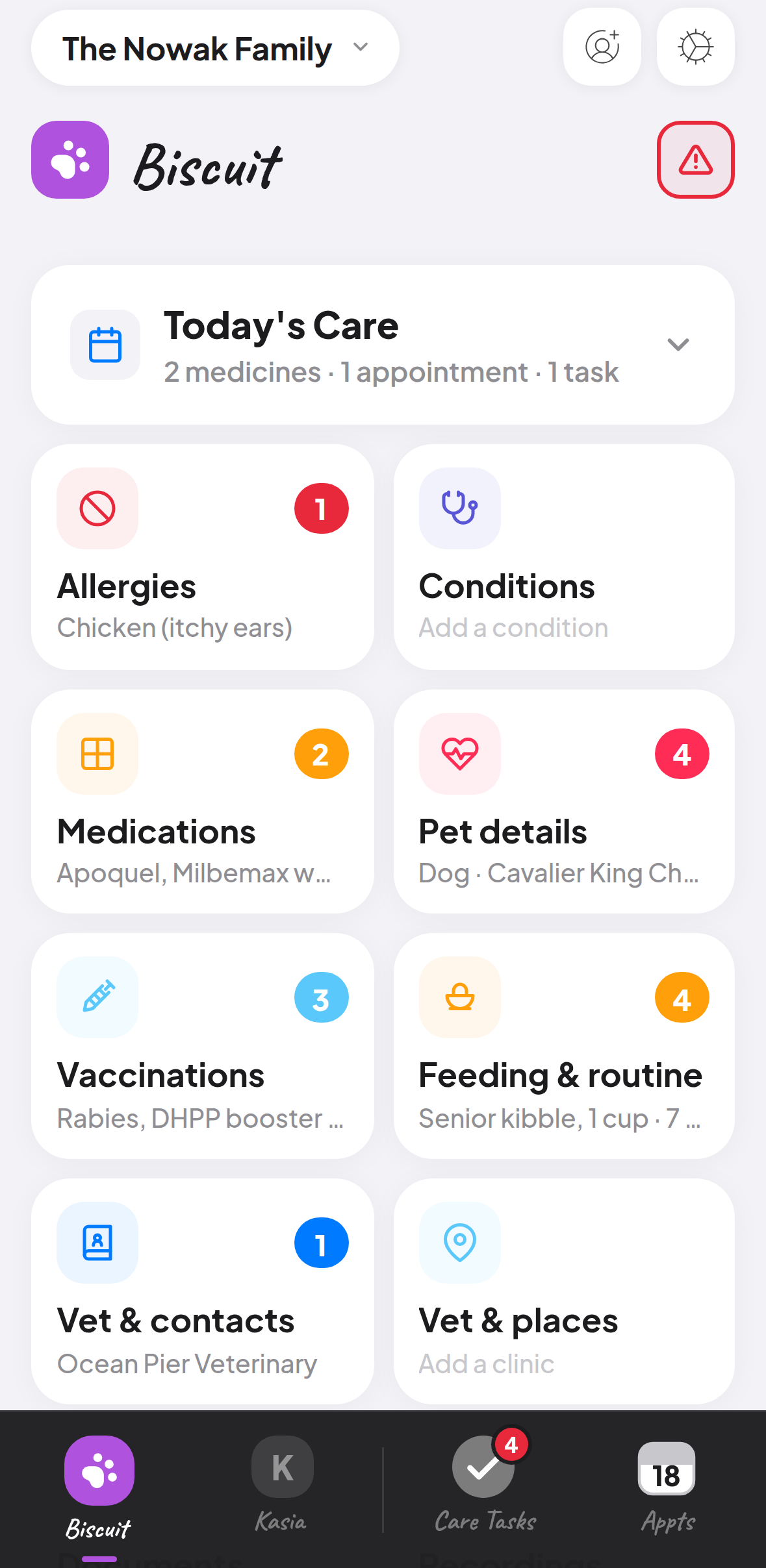 A dog’s page in Great Care: allergies, medications, pet details, vaccinations, feeding and routine, and the vet.